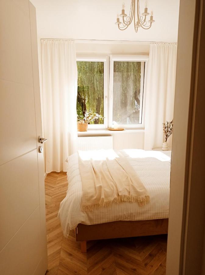 Apartment Mi